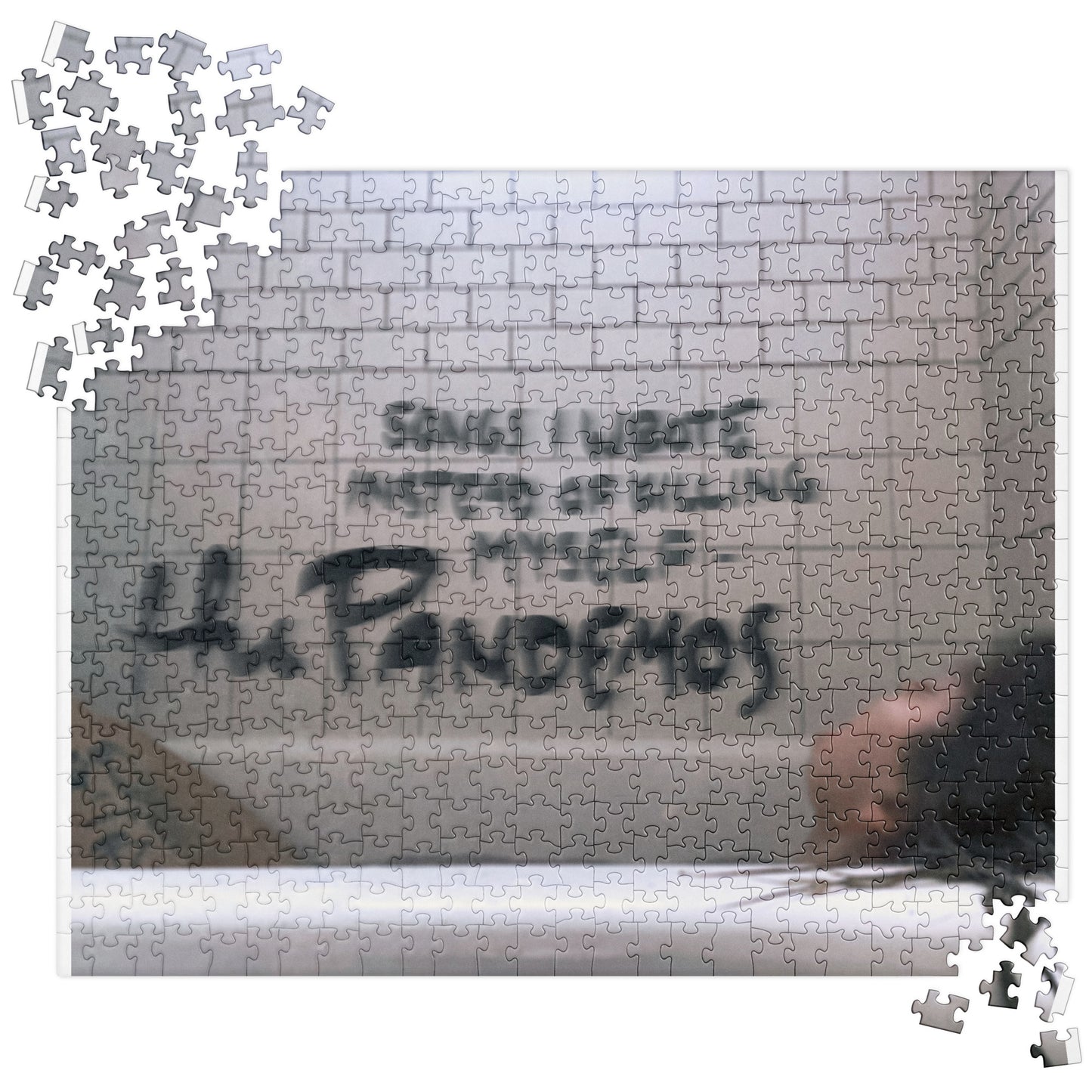 Pandemos Puzzle